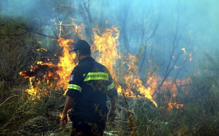 Φθιώτιδα: Μεγάλη φωτιά σε δασική έκταση στη Λοκρίδα